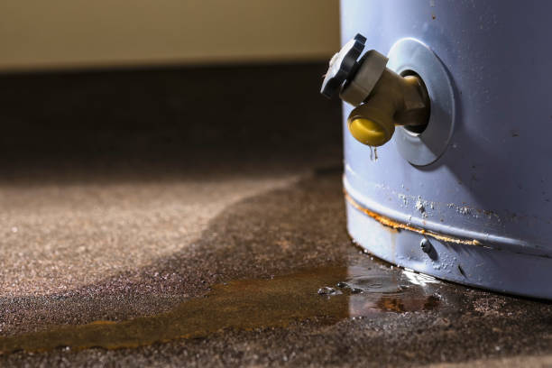 Best Flood damage cleanup  in Beech Mountain Lakes, PA