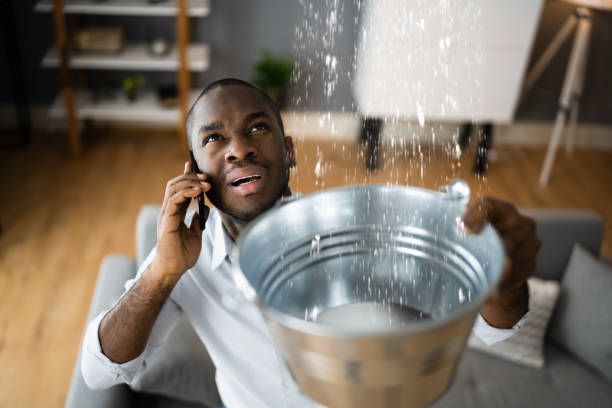 Best Residential water damage restoration  in Beech Mountain Lakes, PA