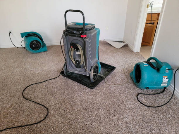 Best Residential water damage restoration  in Beech Mountain Lakes, PA