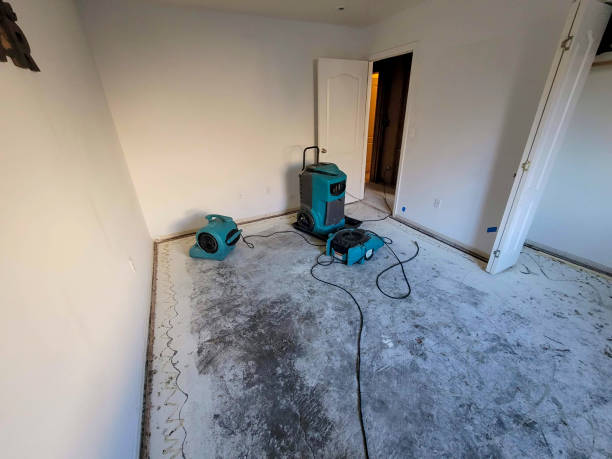 Best Carpet water damage restoration  in Beech Mountain Lakes, PA