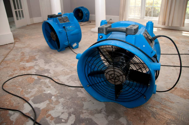 Best Local water damage restoration  in Beech Mountain Lakes, PA