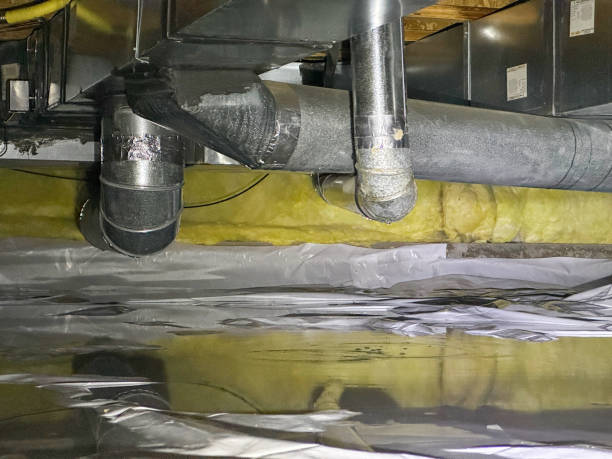 Best Basement water damage restoration  in Beech Mountain Lakes, PA