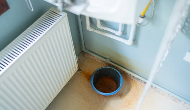 Best Ceiling water damage repair  in Beech Mountain Lakes, PA